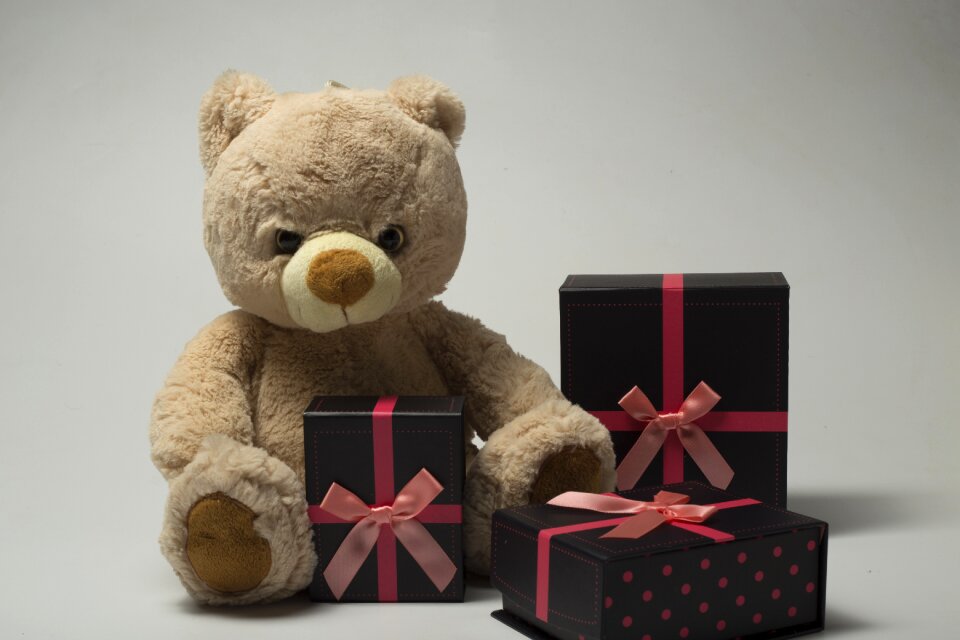 Teddy bear plush gifts