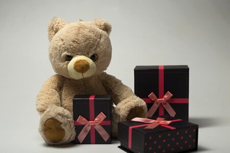 Teddy bear plush gifts