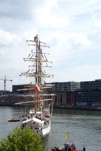 Sail Amsterdam 2015 photo
