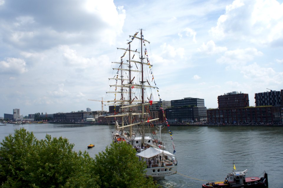 Sail Amsterdam 2015 photo