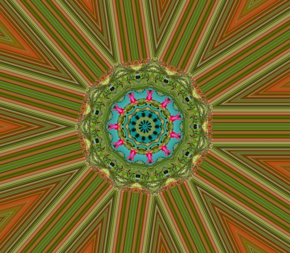 Untitled20