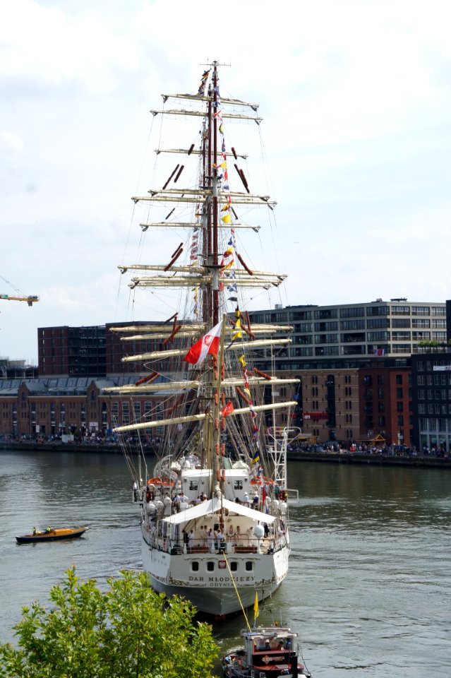 Sail Amsterdam 2015 photo