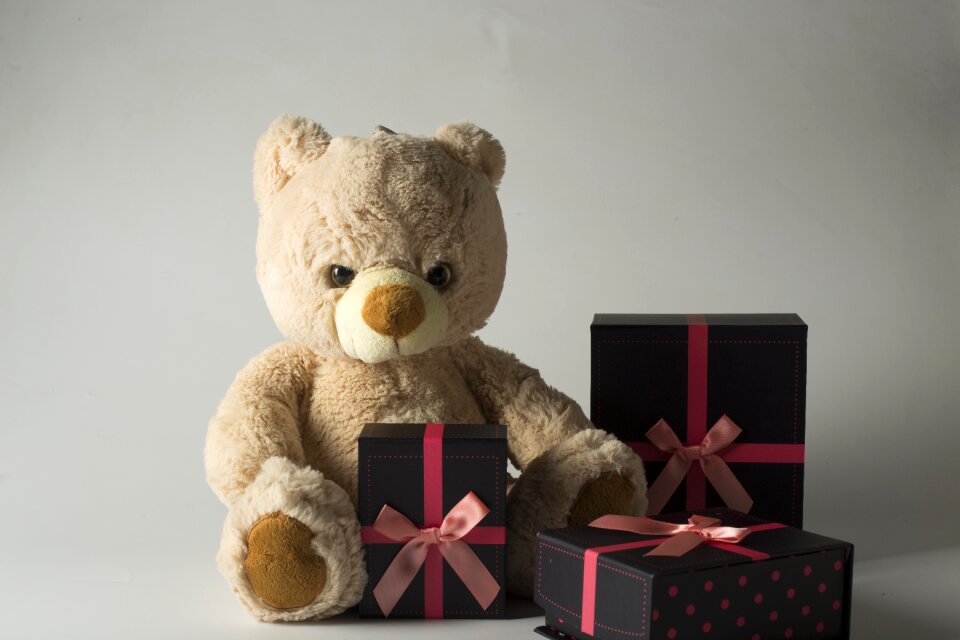Teddy bear plush gifts
