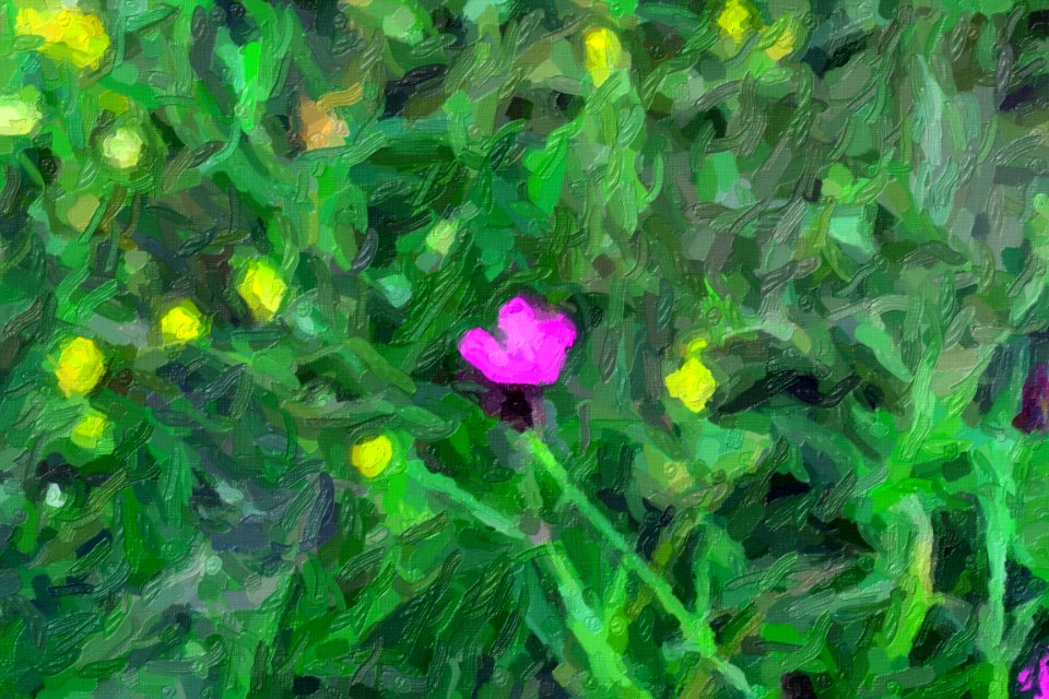 DSC 0034impasto-abstract
