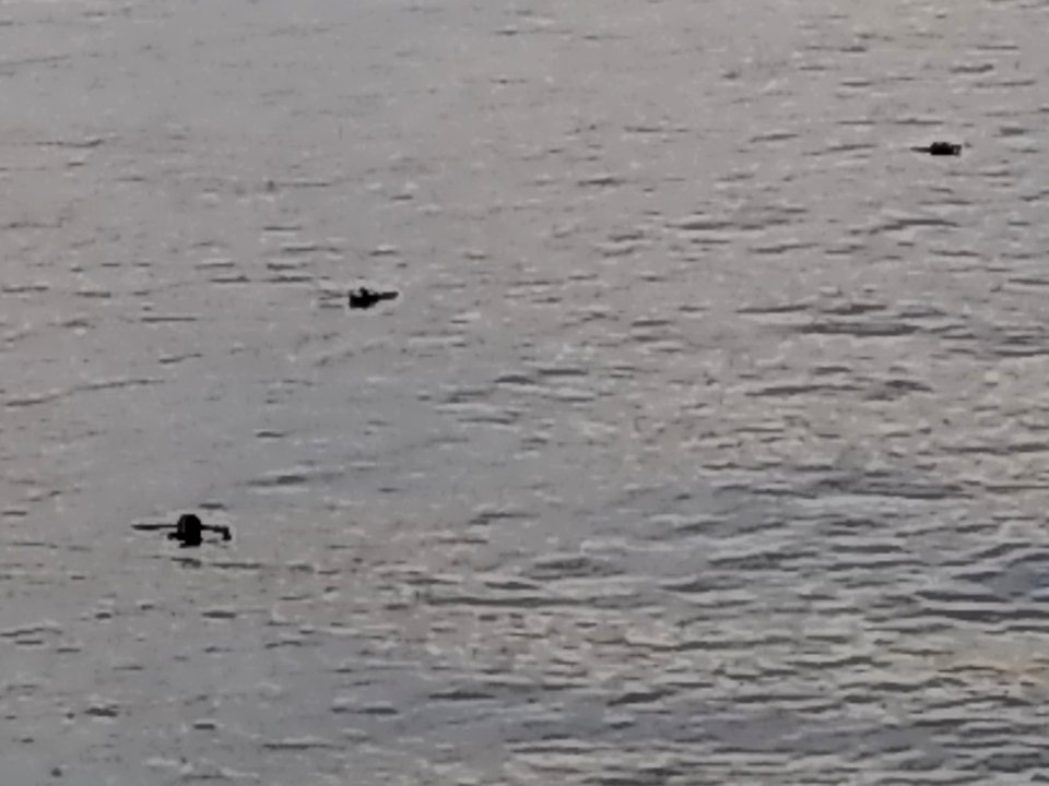 IMG 20170828 190544241