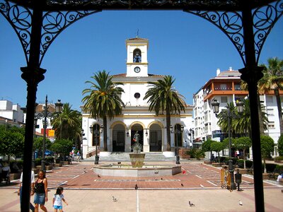 Market square monument palm tree