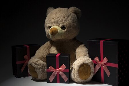 Teddy bear plush gifts