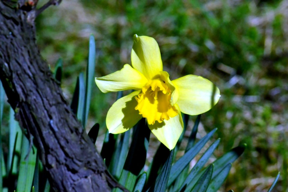 Spring 2014