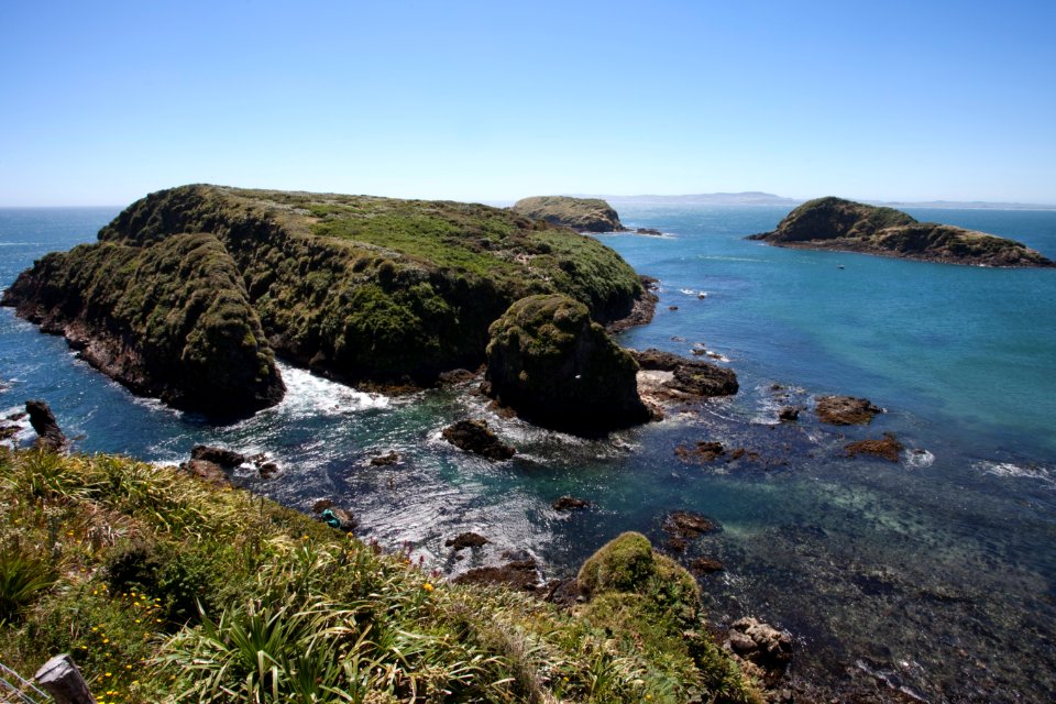 Islotes de Puñihuil - Chiloé