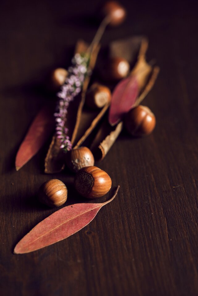 Nuts fall season