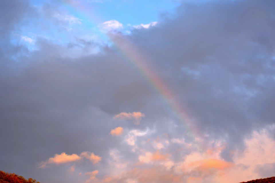 Rainbow