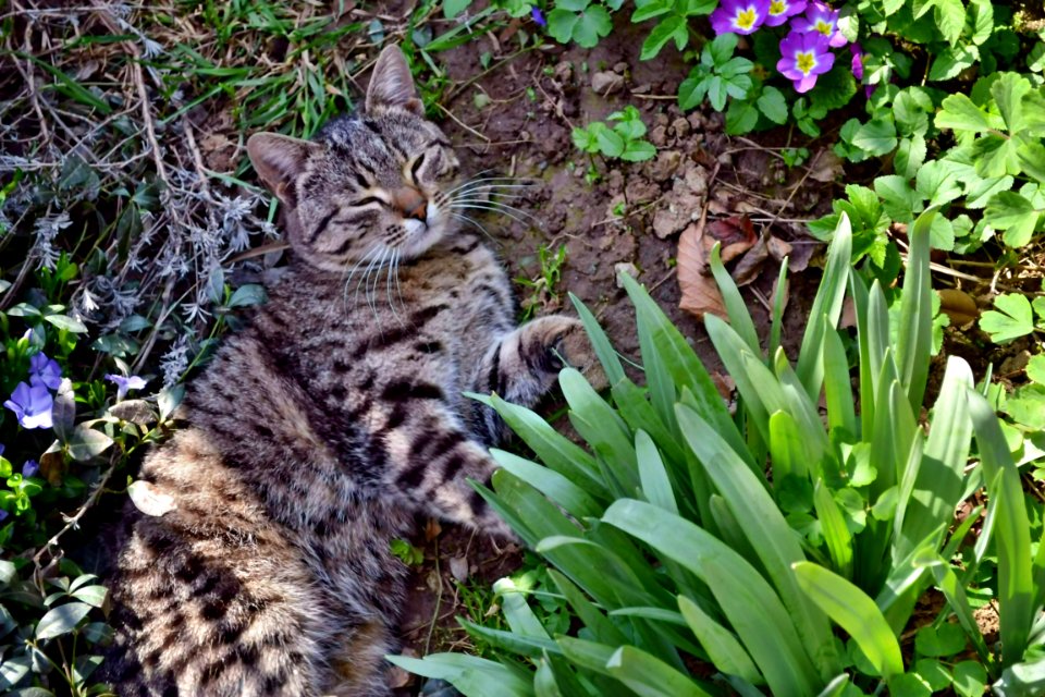 Photos of the day March 23, 2014