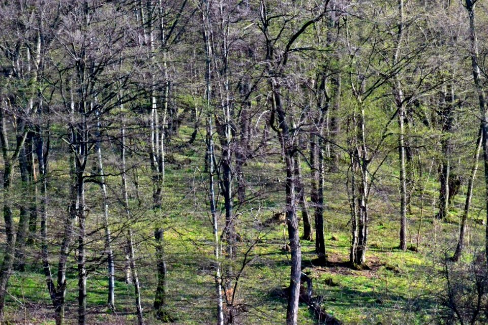 Spring 2014