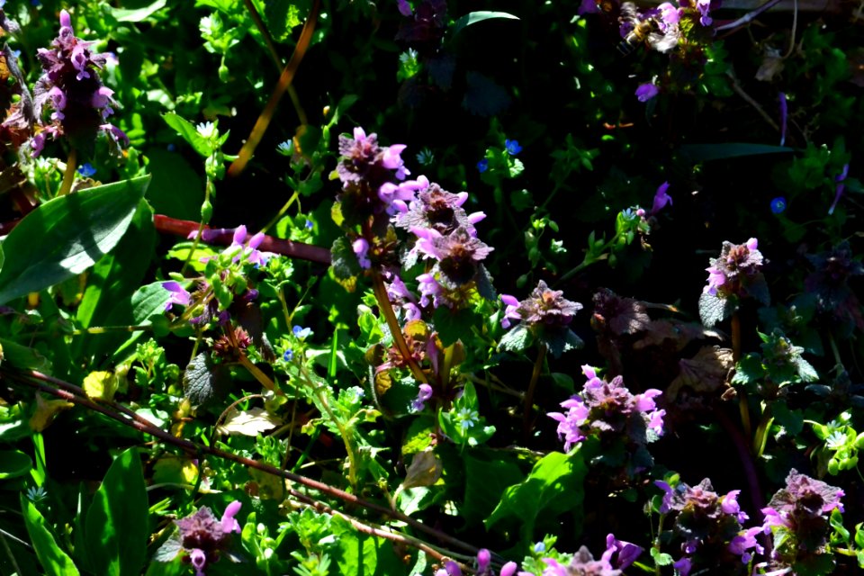 Spring 2014