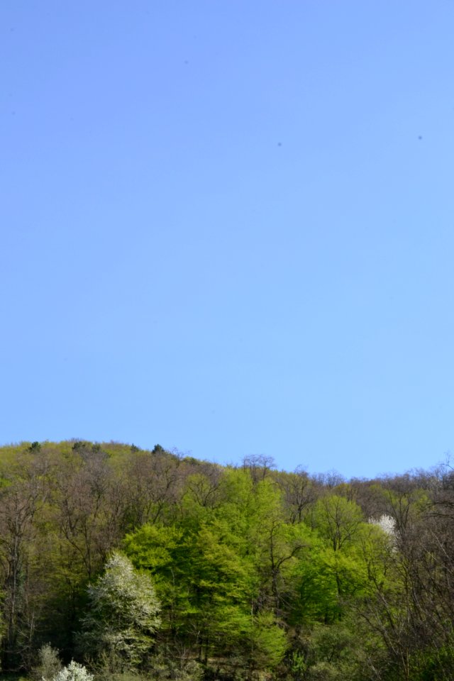 Landscape with nature