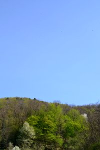 Landscape with nature
