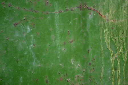 Green paint