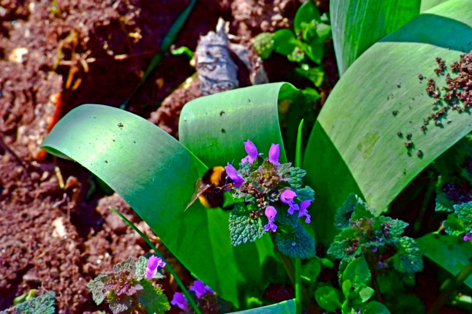 Spring 2014