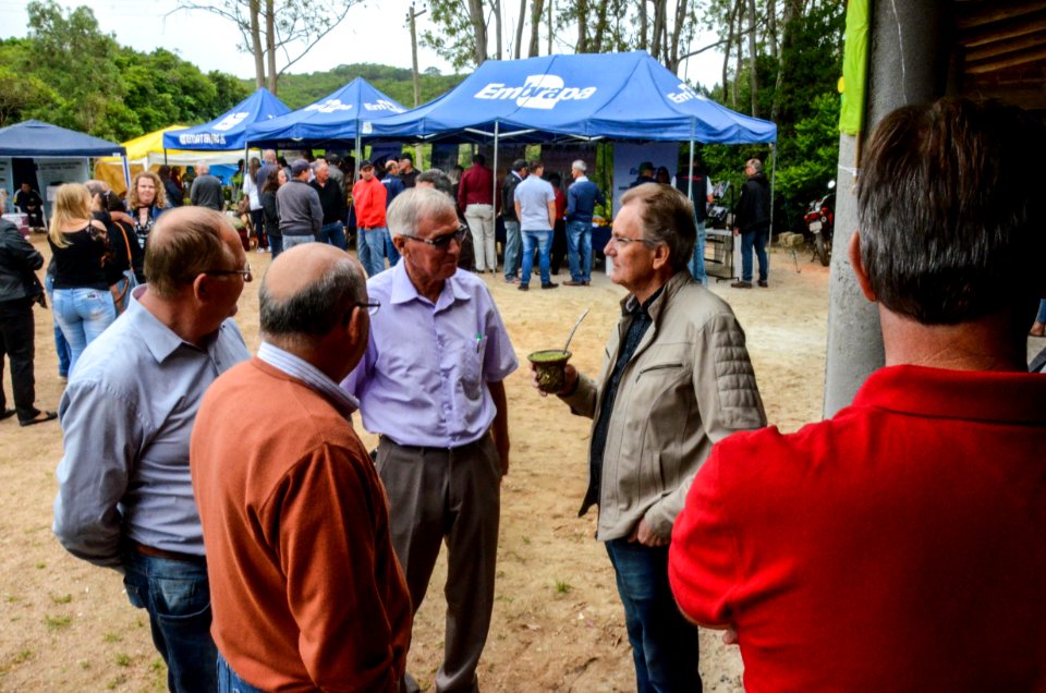 25.11.2017 - Prefeito em exercício Idemar Barz na abertura da Colheita do Pêssego 2017