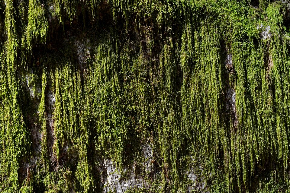 Nature weave close up