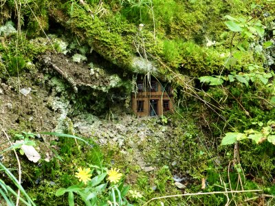 Fairies feenhaus wood elves