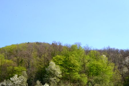 Landscape with nature