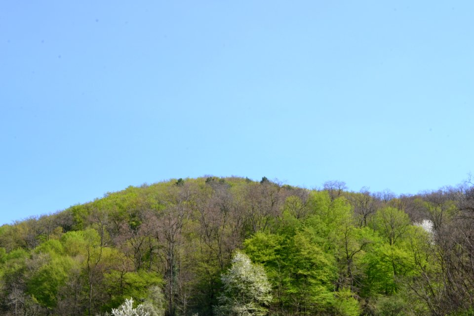 Landscape with nature