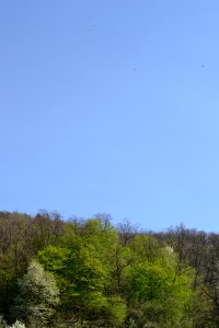 Landscape with nature