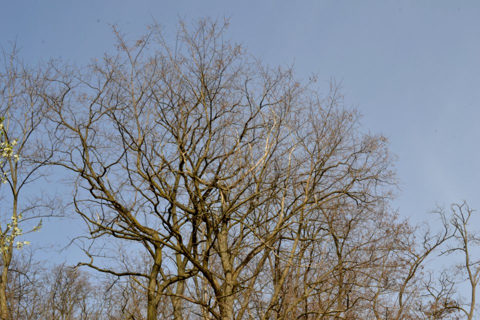 Landscape with nature