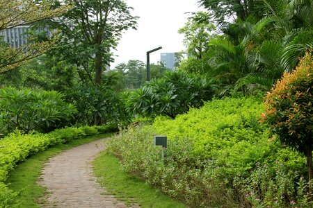 Green environmental protection fresh