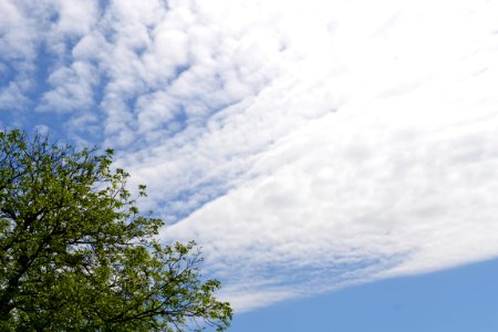 Beautiful sky