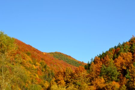 autumnal photo
