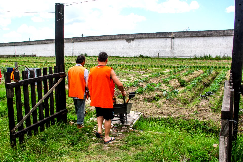 06.11.2017 - Entrega de utensílios e sementes para a horta do Presídio em contrapartida ao fornecimento de hortaliças para os CAPS