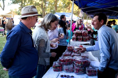 12.11.2017 - 1ª Festa do Morango é atração na comunidade do Redentor, na Estrada da Gama, localizada no Monte Bonito. Com a presença do secretário muncipal Jair Seidel, vice prefeito Idemar Barz e a prefeita Paula Mascarenhas