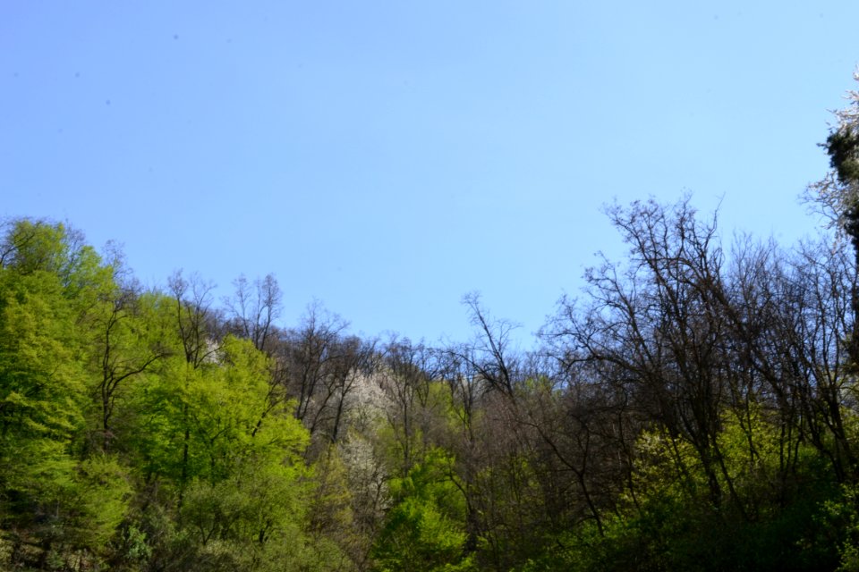 Landscape with nature