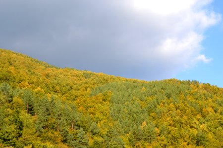 The autumn photo