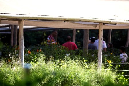 12.11.2017 - 1ª Festa do Morango é atração na comunidade do Redentor, na Estrada da Gama, localizada no Monte Bonito. Com a presença do secretário muncipal Jair Seidel, vice prefeito Idemar Barz e a prefeita Paula Mascarenhas