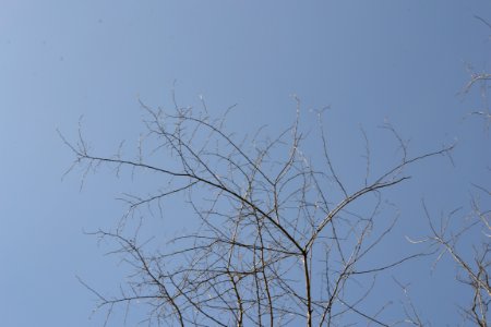 Landscape with nature