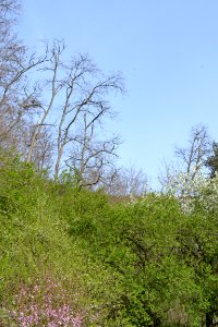 Landscape with nature