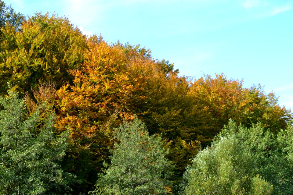 Nature