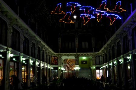 torino un giro in centro