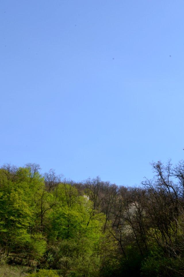 Landscape with nature