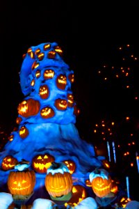Disneyland with the Scotts