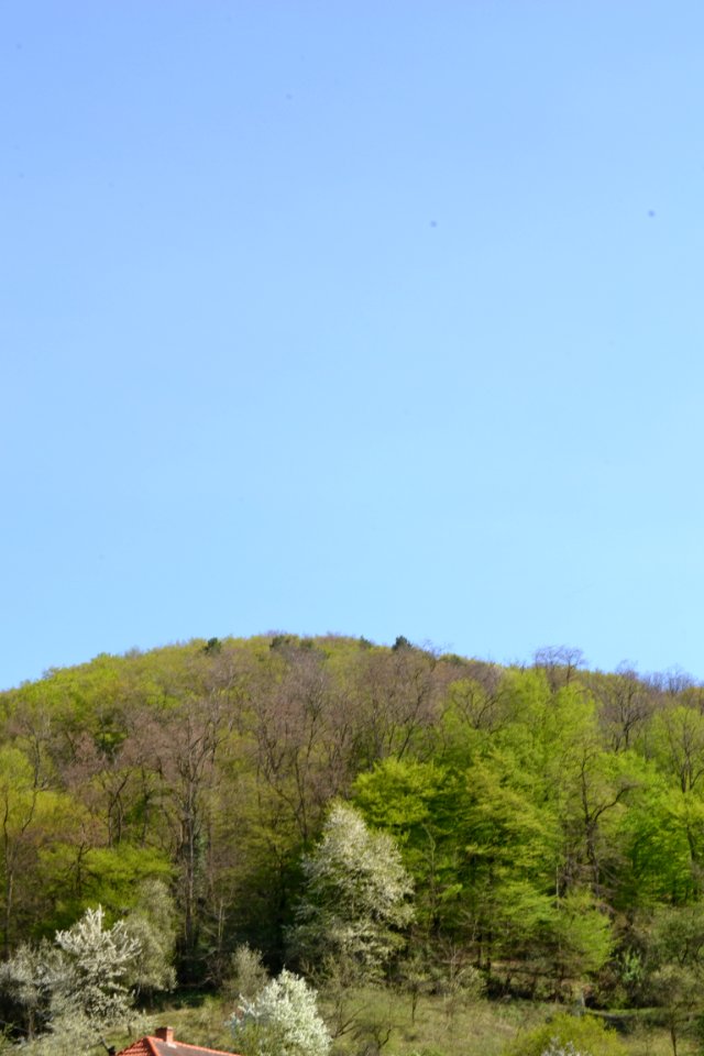 Landscape with nature
