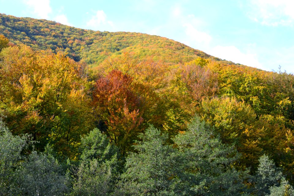Nature