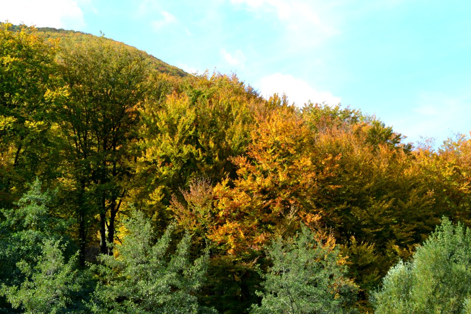 Nature