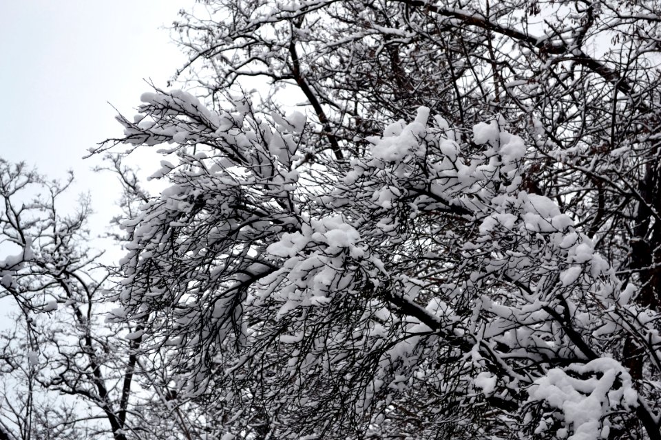 December 28, 2014