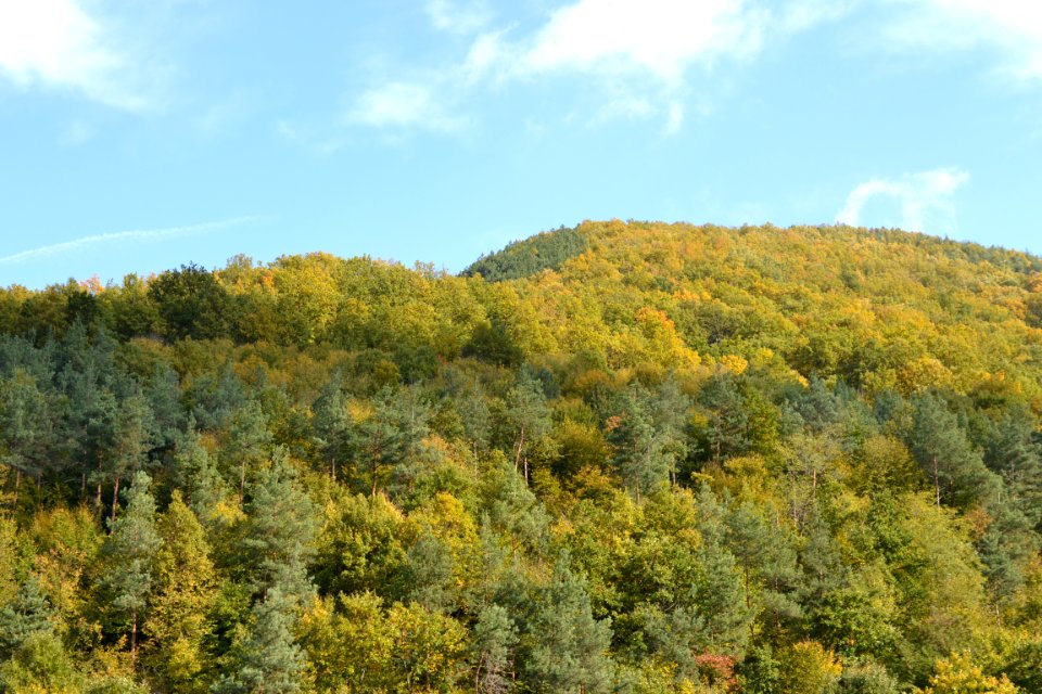Nature