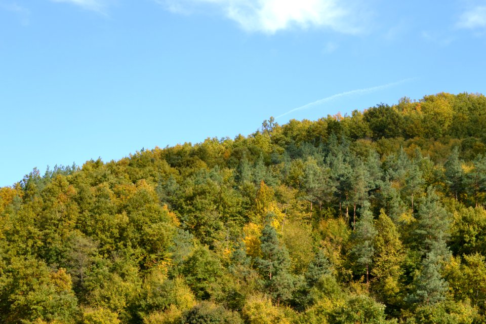 Nature