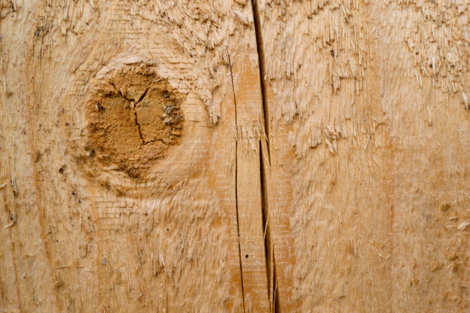 Cracked wood photo